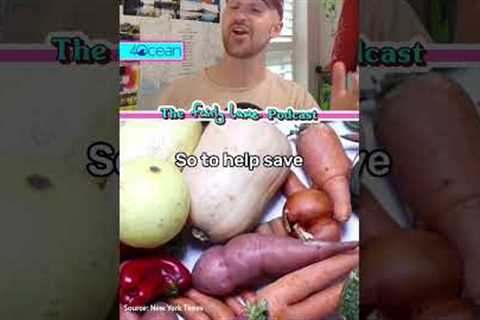 Ugly food subscription boxes! 🥕📦