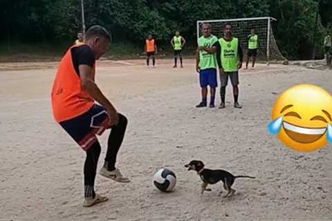 Best Football Videos Of 2025 ⚽️ Funny Moments, Fails, Skills &amp; Goals #23