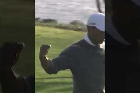 Tiger Woods:  Best Of Torrey 🔥 #pga #tigerwoods #highhandicapgolf #shorts