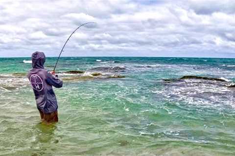 Beach Fishing Tailor Big Fish HARD Work