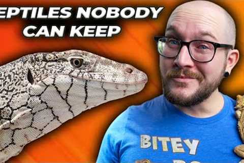 5 Reptiles NOBODY Can Own as Pets! Get These Instead!