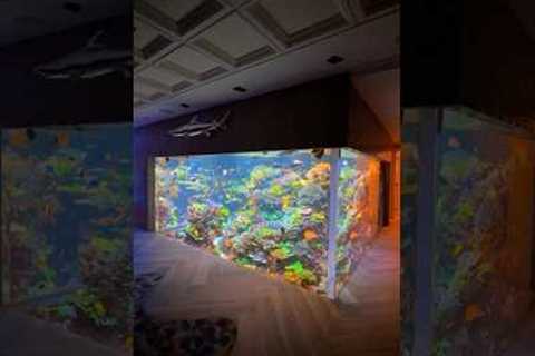 17,000 Gallon Reef Tank 🪸🐠