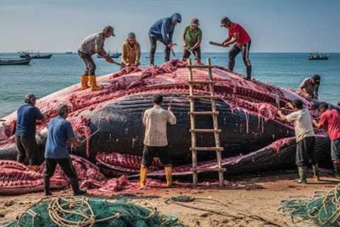 Ocean Giants 🐋 How Fishermen Catch Giant Tuna in European Seas – Deep Sea Documentary