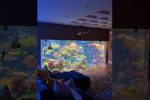 17,000 Gallon Saltwater Aquarium 🪸🐠