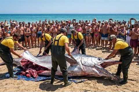 Deep Sea Fishing in a Storm: The Longline Swordfish Haul That Broke the Crew