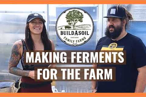 BuildaSoil: MAKING FERMENTED PLANT EXTRACTS // How to Make Ferments For Your Farm