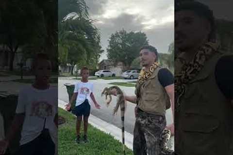 😱🦎KID GETS BIT BY IGUANA🦎😱 I love being able to show the next generation these beautiful
