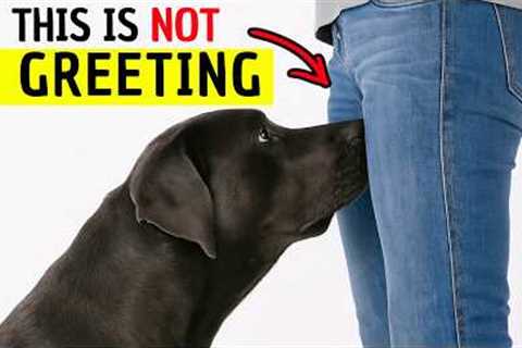 If Your Dog Sniffs Your Private Area, This Is What It Really Means