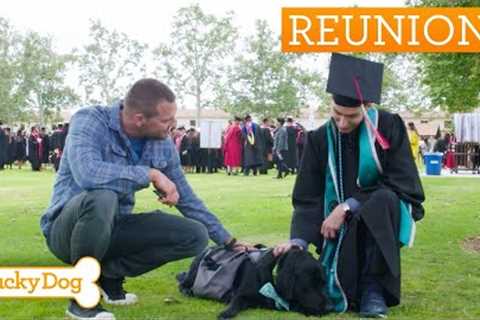 Brandon McMillan REACTS To Service Dog Who Changed Student's Life | Lucky Dog Reunions