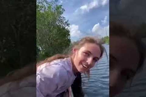 Funny video clip Viral #funny #viralvideo #travel