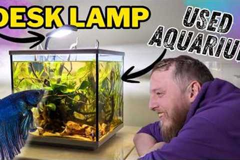 How to Set Up a Cheap Betta Fish Aquarium. (Set Up Masterclass)