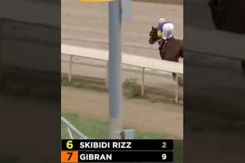 Horse Racing But It’s Just Skibidi Rizz #shorts #horseracing