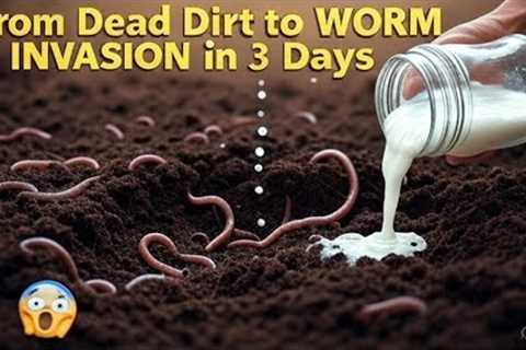 I Poured This Into My Dead Garden… and Thousands of Worms Showed Up in 3 Days!
