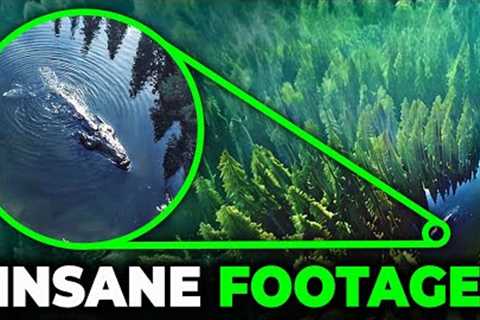 Alaska’s Version of Jaws Is Real... And It’s Bigger Than You've Ever Seen