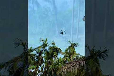 ✨ Technology meets nature 🌴| drone farming for areca  trees 😍#shorts#drone #eco #farming