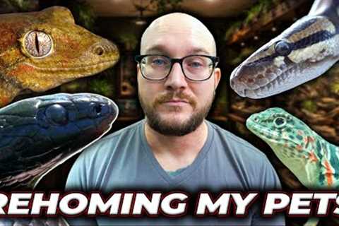 I'm Getting Rid of  my Favorite Reptiles
