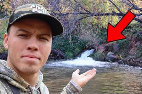 I Found A Honey Hole In The Middle Of The Forest...
