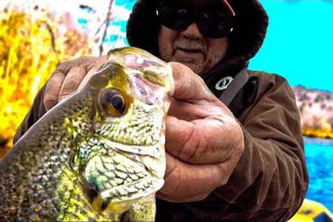 Simple Worm Fishing! How To Catch Loads Of Fish For Dinner Easy With A Simple Rig!