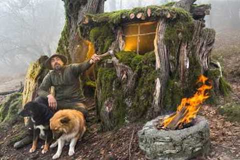 Living Inside a Hollow Tree | Bushcraft Shelter, Fire Cooking & Survival Skills