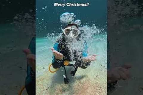 I hope everyone’s scuba Christmas wish list came true! 🐠