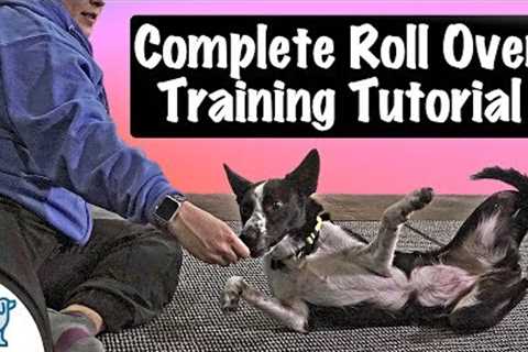 How To Teach Your Dog To Roll Over - Professional Dog Training Tips