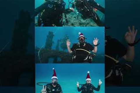 Unique Christmas Tradition