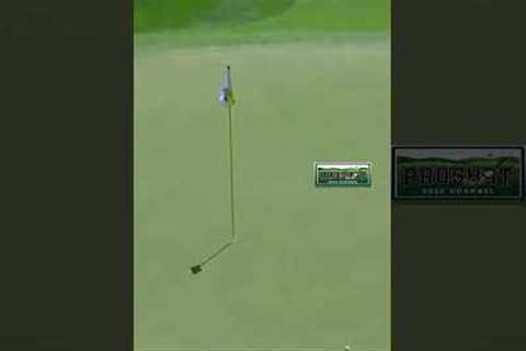 Insane Golf Shot With a Roaring Crowd AI #golf #golfshot