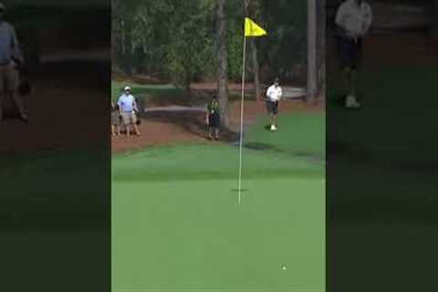 This Golf Shot Turned the Crowd Electric AI #golf #golfshot