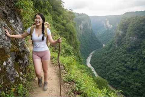 TIMELAPSE - Living Alone in the Forest Using Survival Skills