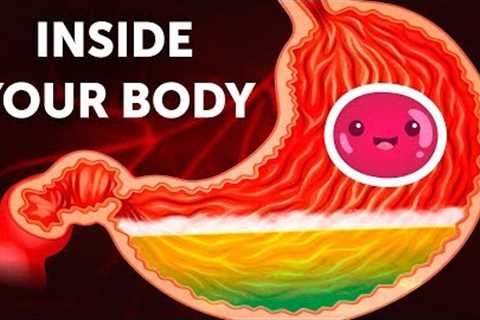A Journey Inside Your Body
