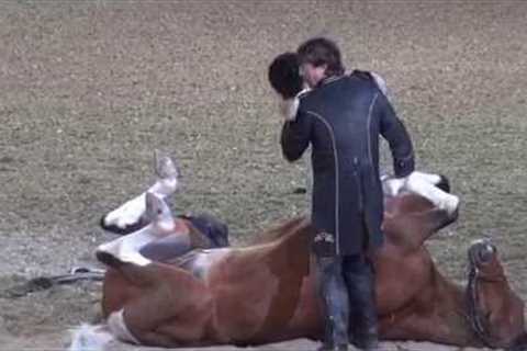 Funniest Horse Act Ever! Tommie Turvey and Pokerjoe! - Night of the Horse 2015 - #DMNHS