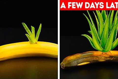 27 GARDENING HACKS YOU'LL WANT TO KNOW