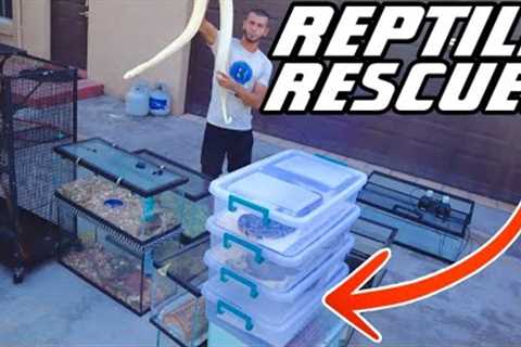MASSIVE REPTILE RESCUE!! WHAT did we SAVE?!