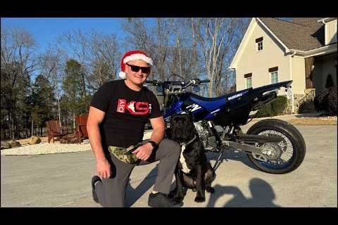 Live Christmas Dog Training!
