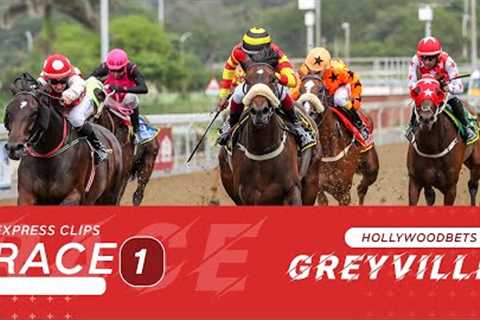 20251226 Hollywoodbets Greyville Race 1 won by KAVADY