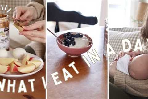 What I EAT in a Day (While Breastfeeding) | Healthy Meal Ideas!
