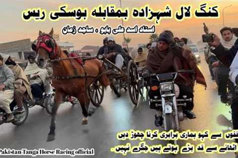 King Lal Shehzada Vs Boski Horse Race 27 December 2025 || Tanga Race || #horse #trending #viral 