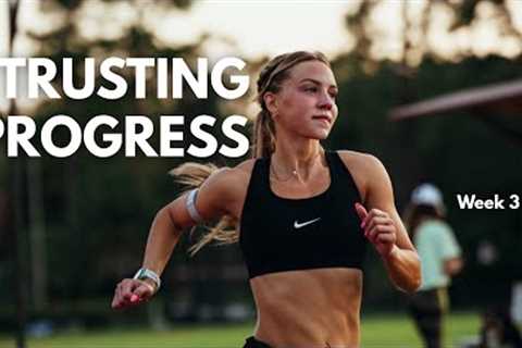 ALL-IN | Week 3: Trusting Progress