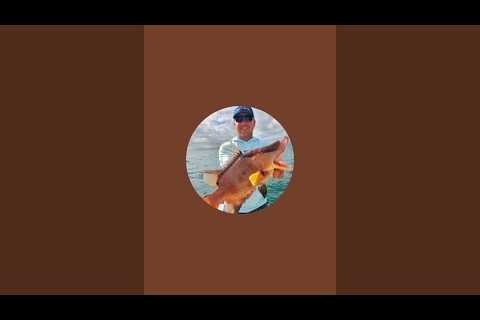 Live Florida Reef Fishing #fishing