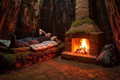 Building a Secret Dugout in a Large Tree Stump | Bushcraft, Survival Skills