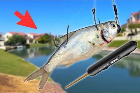 Is This Live Bait Fishing Gadget a Scam? (Surprising)