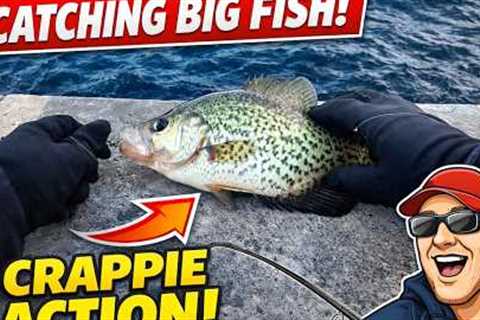 I Found Fish in Freezing Temps… Winter Fishing in Boston