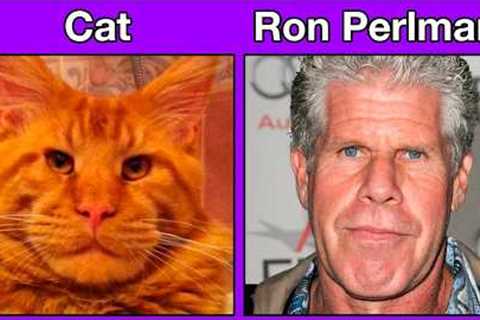 Animals That Are Perfect Celebrity Lookalikes