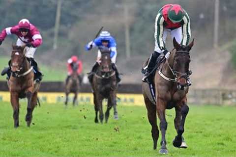 Final Demand sparkles in Faugheen Novice Chase at Limerick | Racing TV