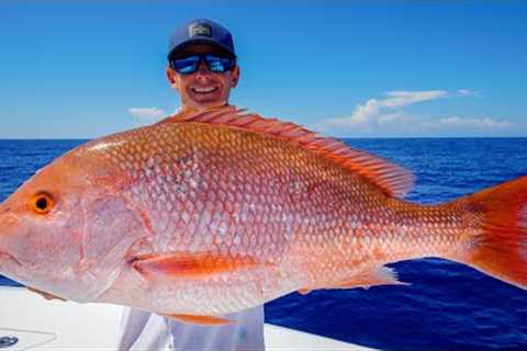 GIANT Red Snapper, Grouper, Tuna! Catch Clean Cook (Gulf of Mexico Fishing)