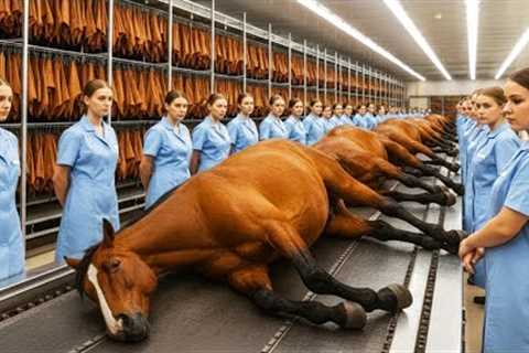 Inside a Horse Leather Factory | From Raw Hide to Million-Dollar Luxury Products (Full Process)