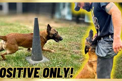 My ‘GO TO’ Purely Positive Exercise w/ My Malinois