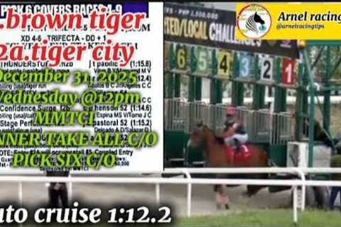 MMTCI ARNEL RACING TIPS WEDNESDAY @12:PM DECEMBER 31,2025@metroturfracingtv WTC C/O - PICK SIX C/O
