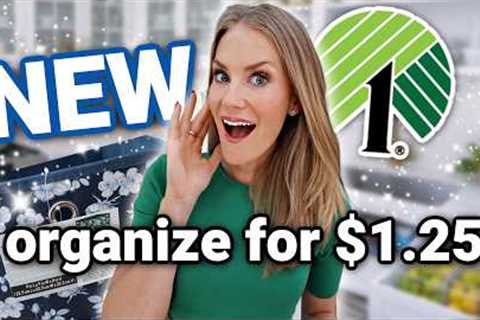 NEW Dollar Tree 2026 ORGANIZATION ✨ for your ENTIRE House!