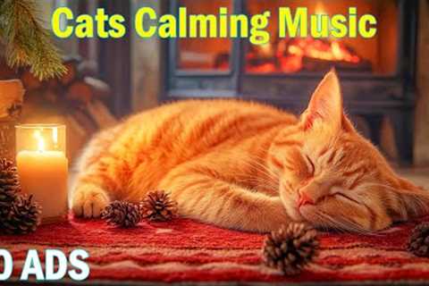 12 Hours of Calming Music for Cats💖Stress-Reducing Music for Cats💖Music to Help Cats Reduce..